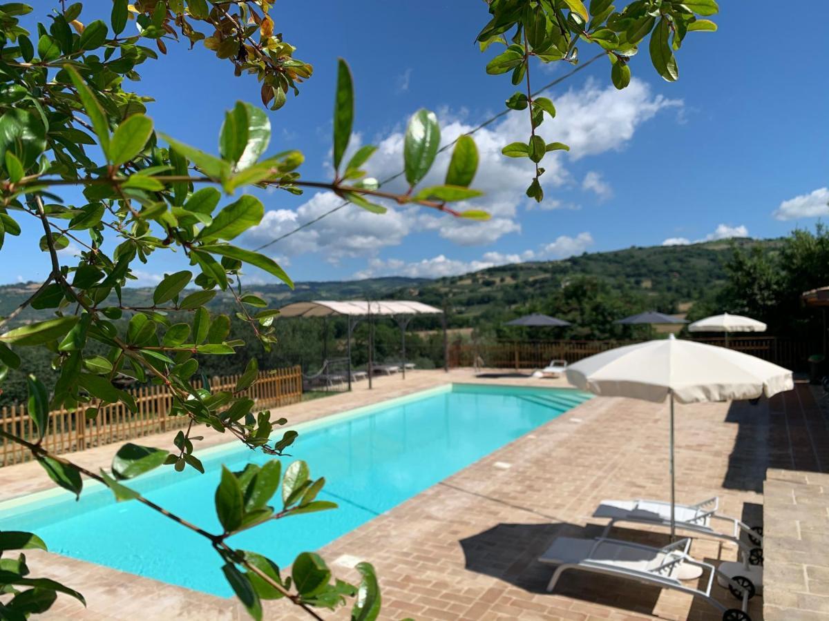 Agriturismo La Palazzetta Di Assise Extérieur photo