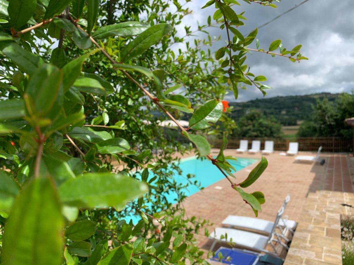 Agriturismo La Palazzetta Di Assise Extérieur photo