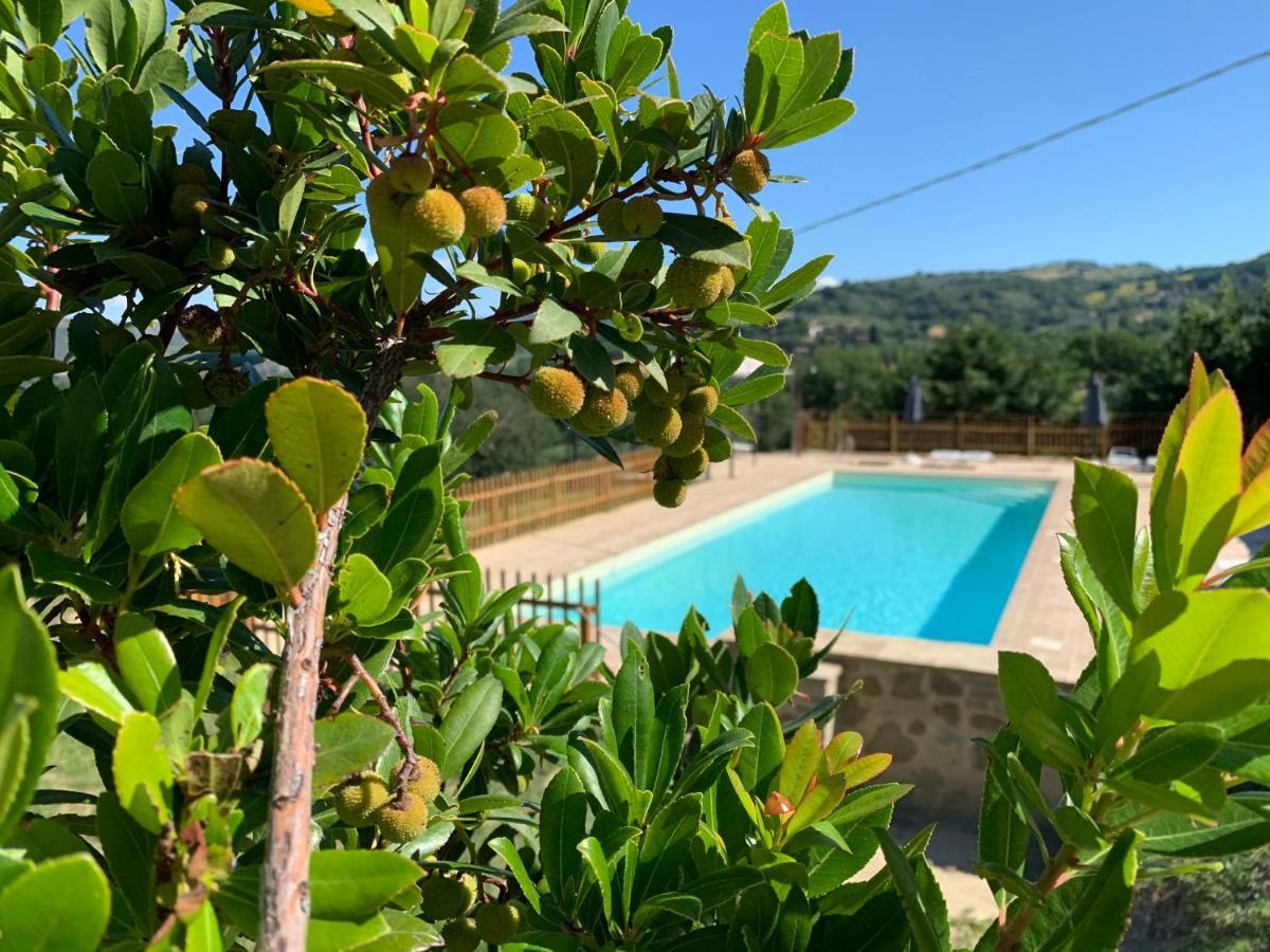 Agriturismo La Palazzetta Di Assise Extérieur photo