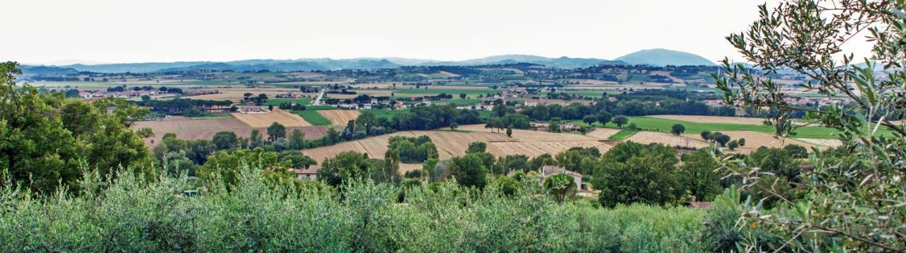 Agriturismo La Palazzetta Di Assise Extérieur photo